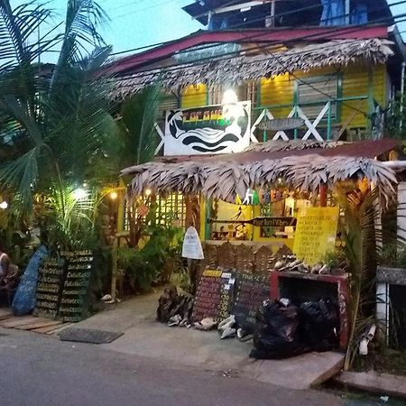 Coconut Hostel Bocas Town エクステリア 写真