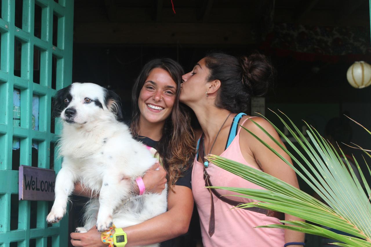 Coconut Hostel Bocas Town エクステリア 写真