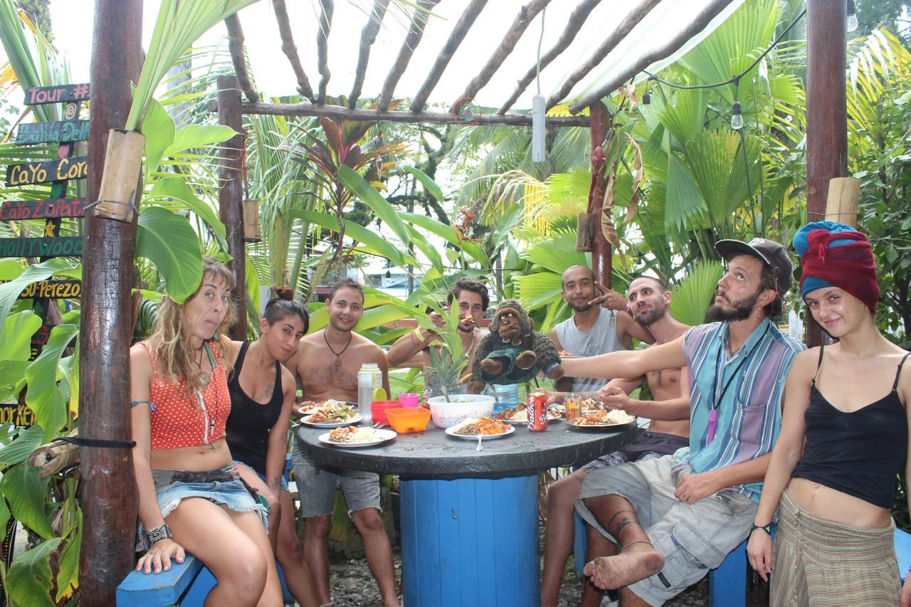 Coconut Hostel Bocas Town エクステリア 写真