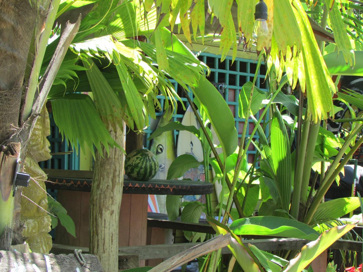 Coconut Hostel Bocas Town エクステリア 写真