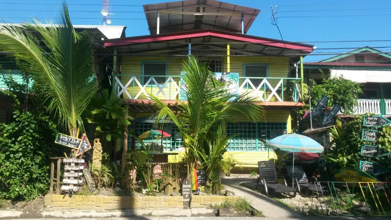 Coconut Hostel Bocas Town エクステリア 写真