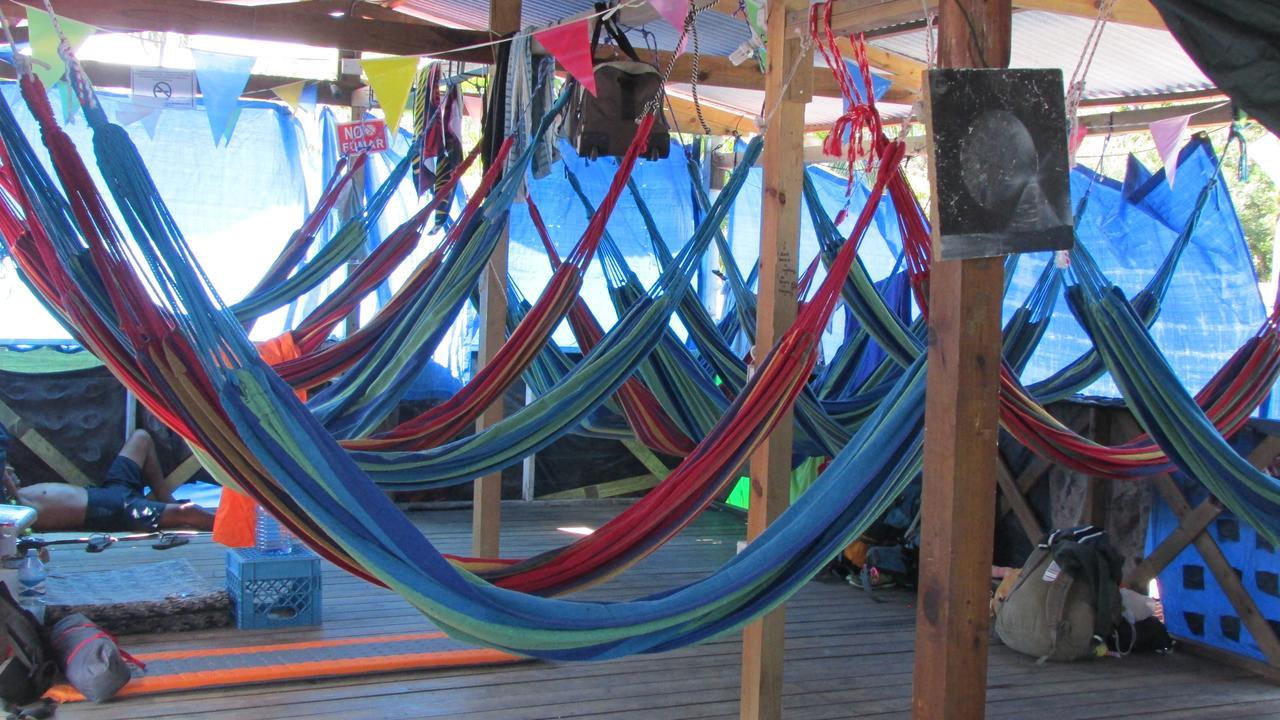 Coconut Hostel Bocas Town エクステリア 写真
