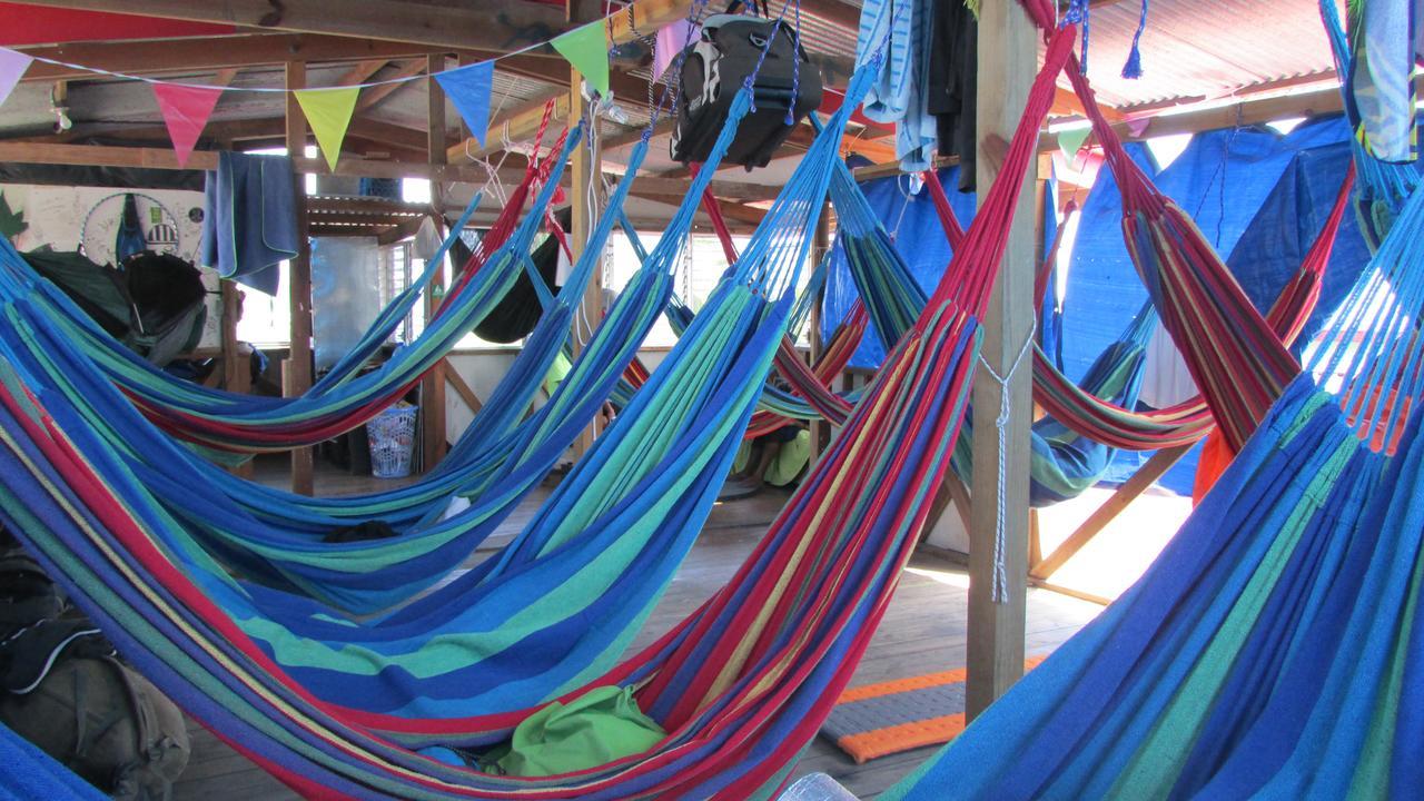 Coconut Hostel Bocas Town エクステリア 写真
