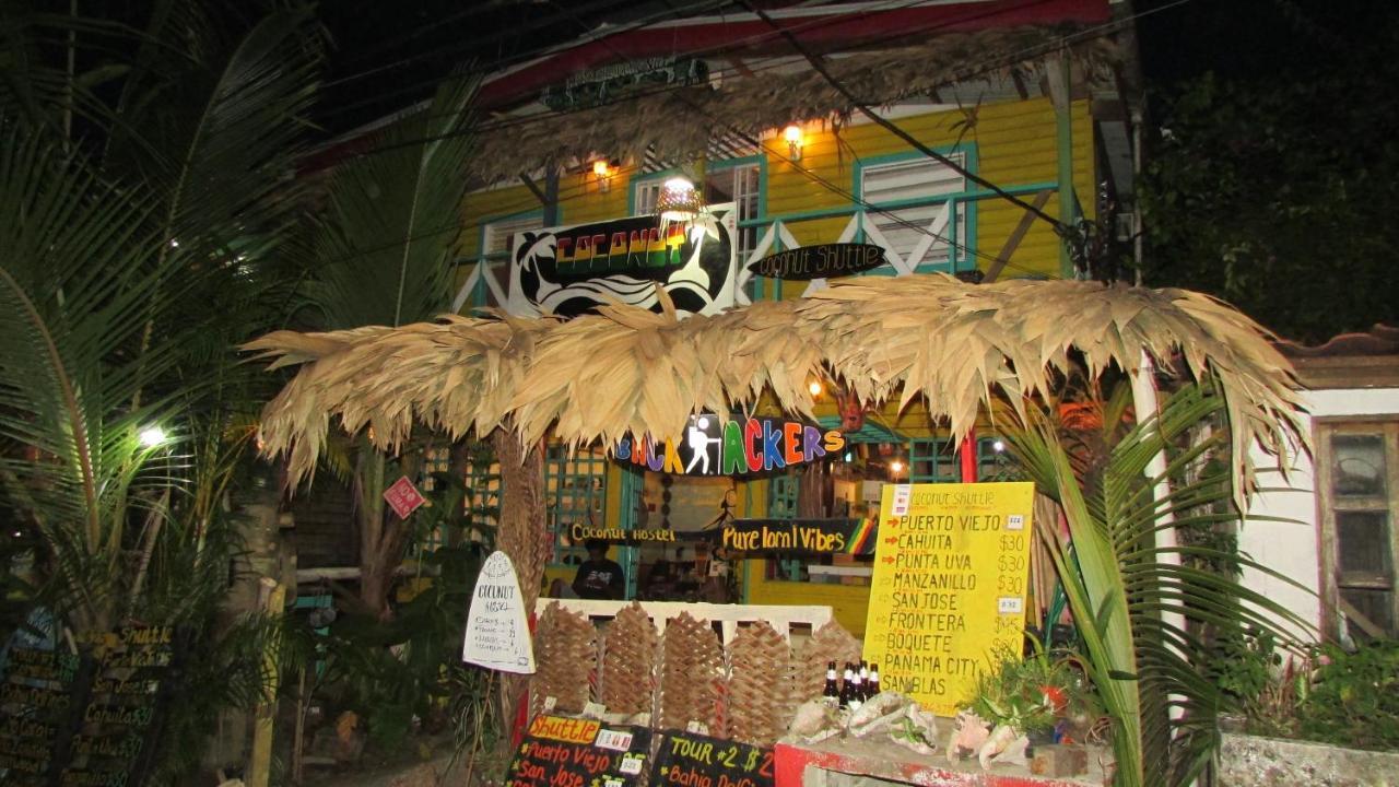 Coconut Hostel Bocas Town エクステリア 写真