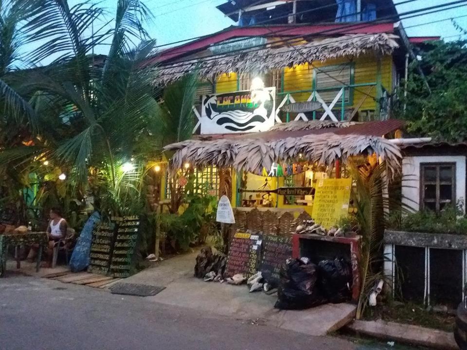 Coconut Hostel Bocas Town エクステリア 写真