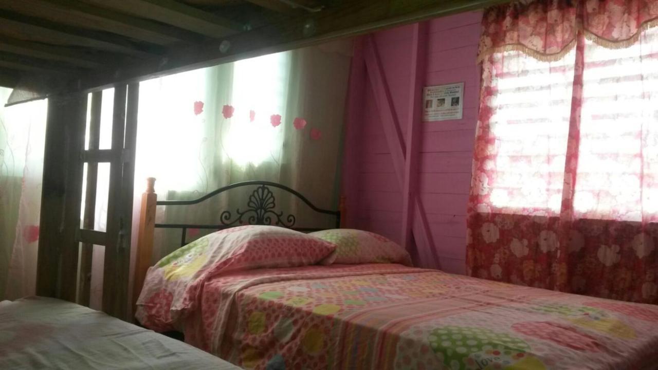 Coconut Hostel Bocas Town エクステリア 写真