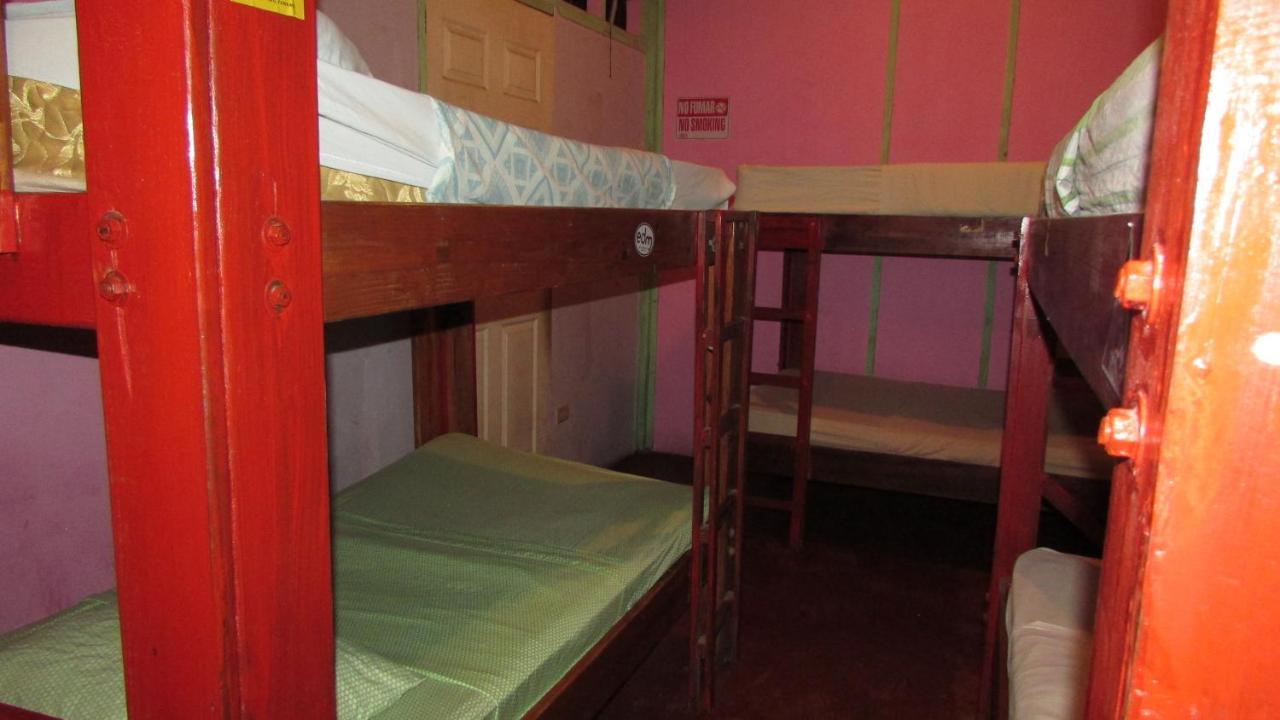 Coconut Hostel Bocas Town エクステリア 写真