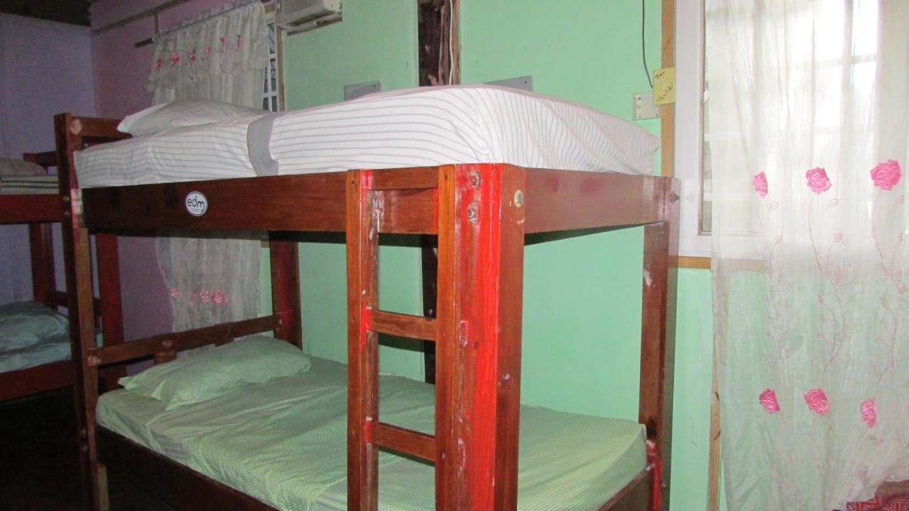 Coconut Hostel Bocas Town エクステリア 写真