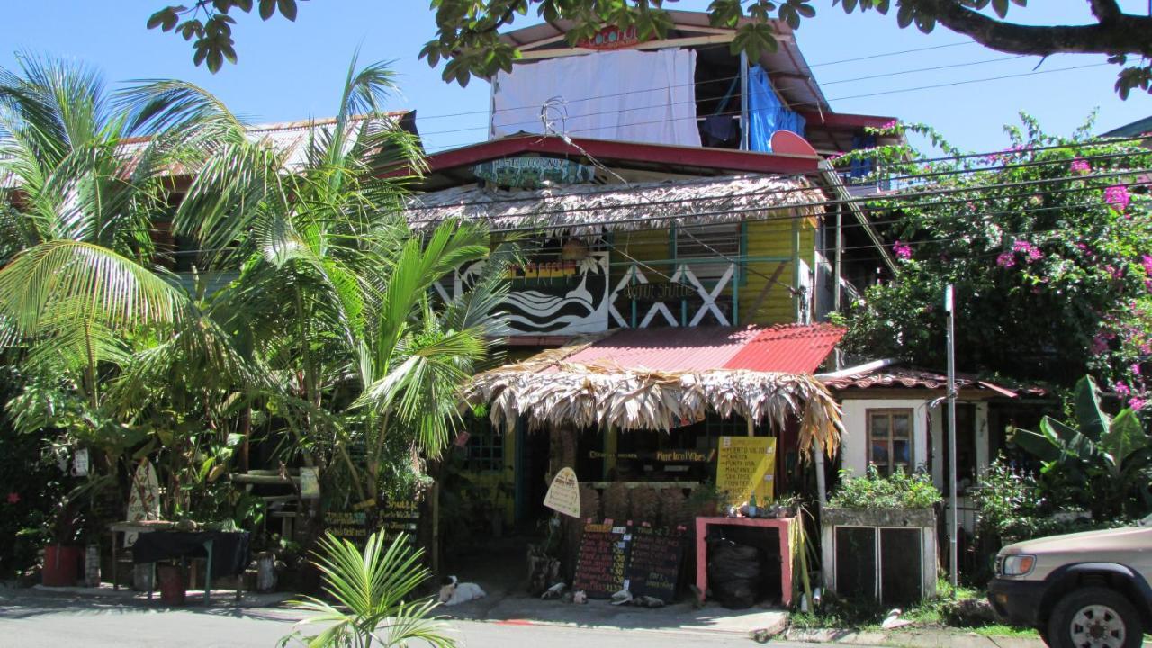 Coconut Hostel Bocas Town エクステリア 写真