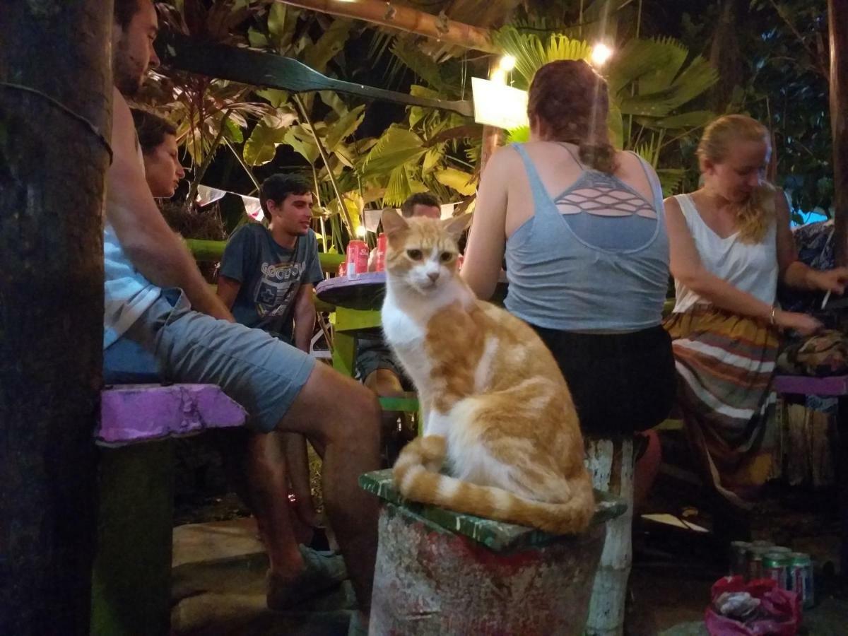 Coconut Hostel Bocas Town エクステリア 写真