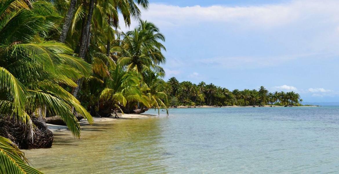 Coconut Hostel Bocas Town エクステリア 写真