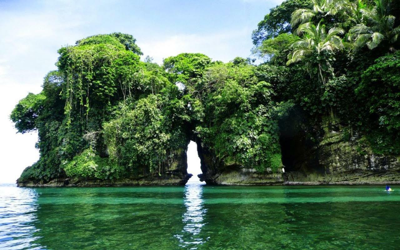Coconut Hostel Bocas Town エクステリア 写真