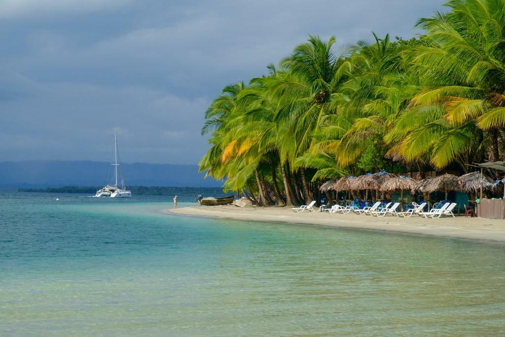 Coconut Hostel Bocas Town エクステリア 写真