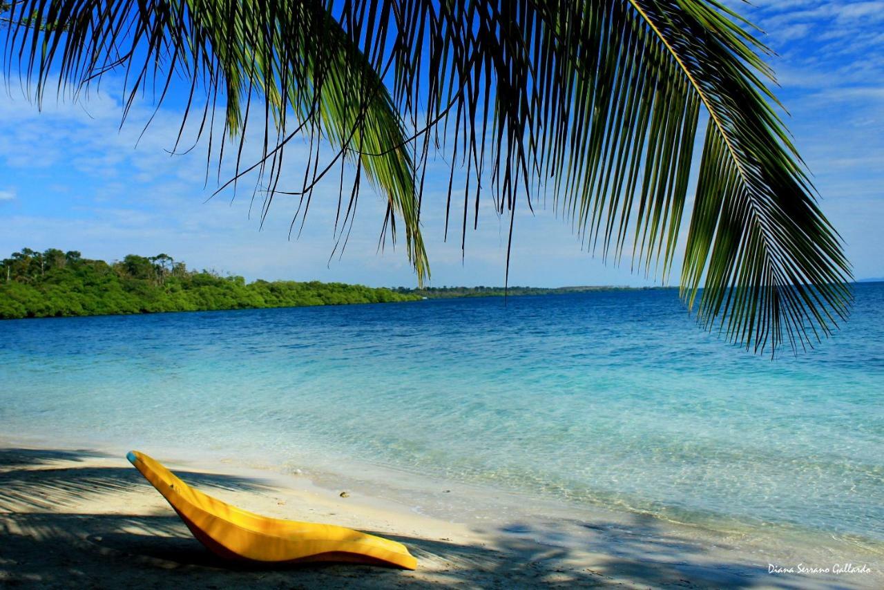 Coconut Hostel Bocas Town エクステリア 写真
