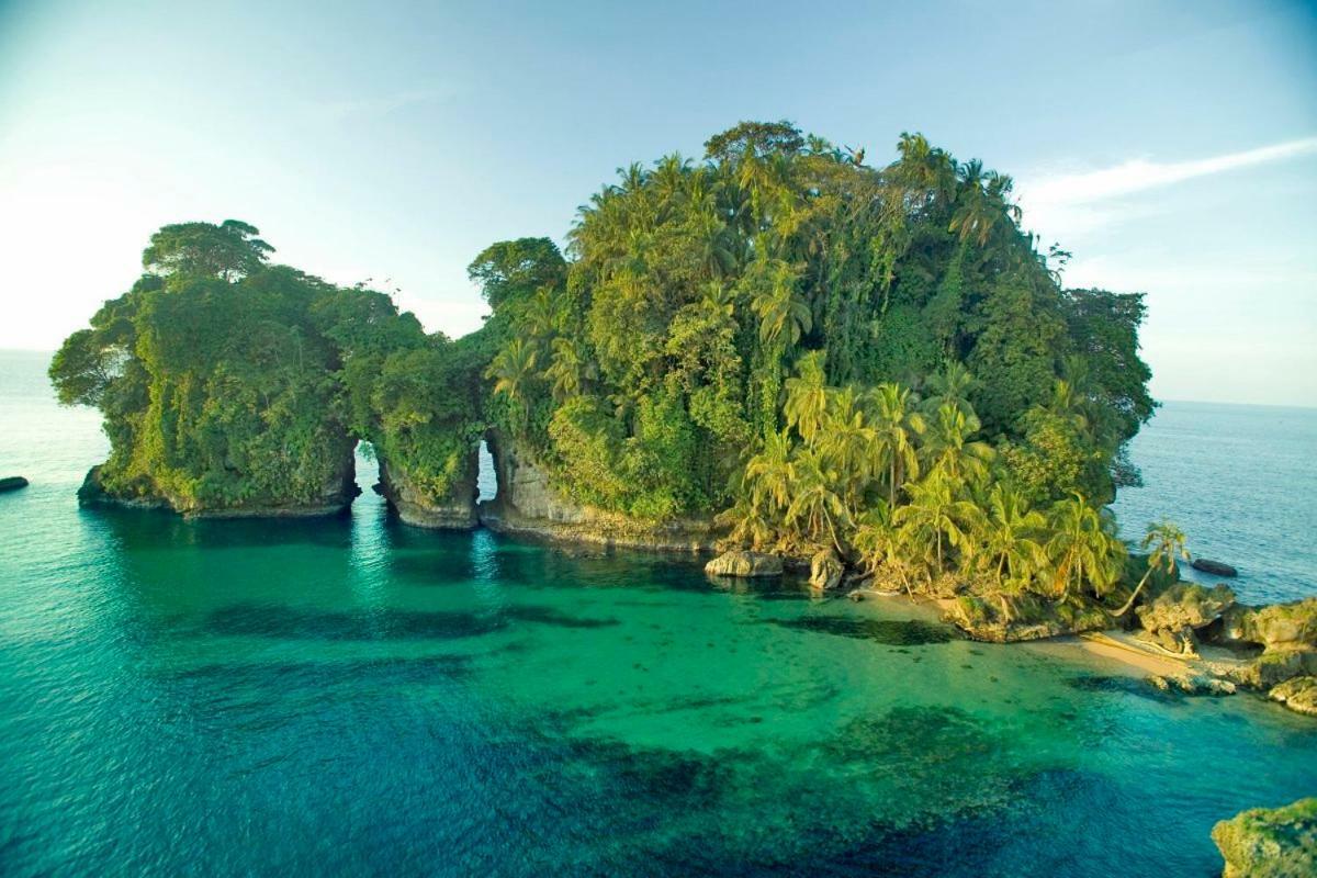 Coconut Hostel Bocas Town エクステリア 写真